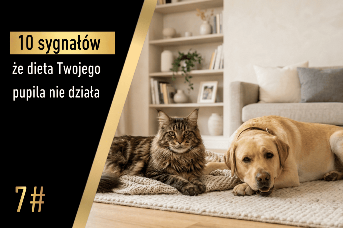 Sygnał 7 - 10 sygnałów, że dieta Twojego pupila nie działa