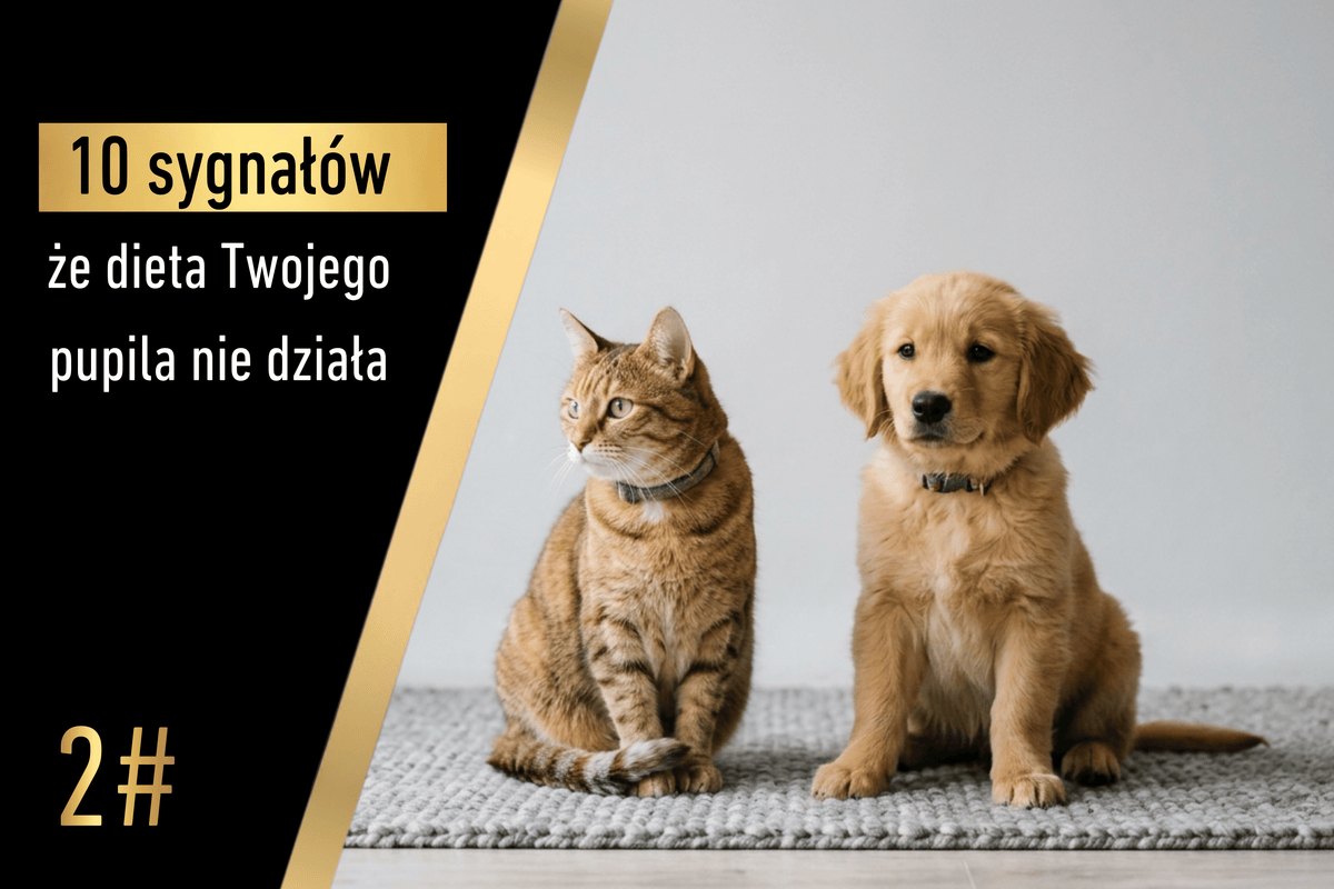 Sygnał 2 - 10 sygnałów, że dieta Twojego pupila nie działa