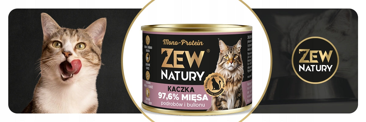 009cae9f0dbc98ab0754bf7786a2062d